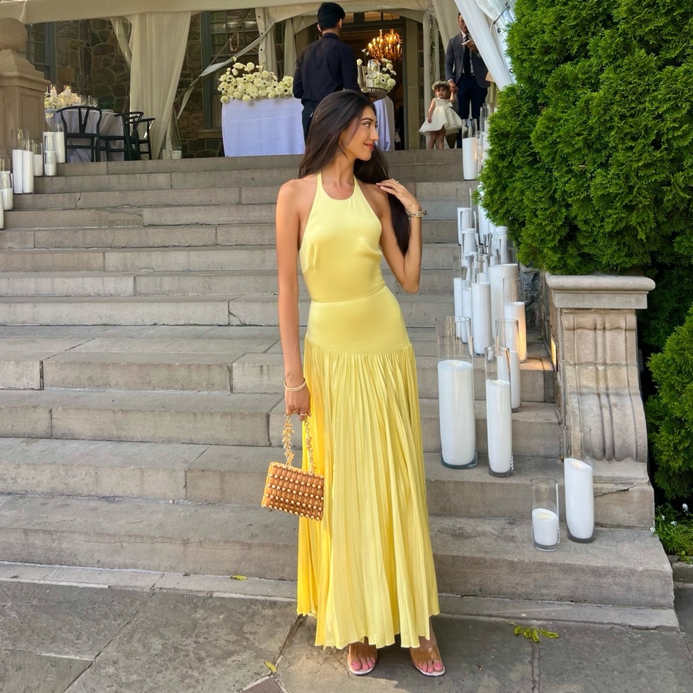 Alexis Saab Pleated Drop Waist Maxi Dress in Yellow - XS